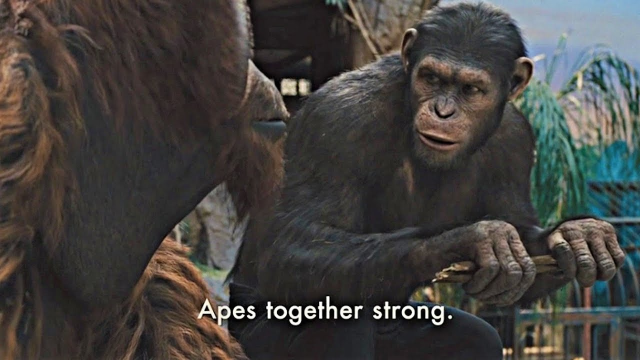 Apestogetherstrong.png